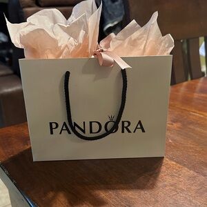 Pandora White Gift Bag with Pink Tissue